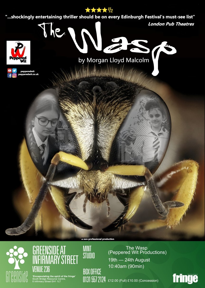 Edinburgh Fringe preview tour announced for ‘The&nbsp;Wasp’