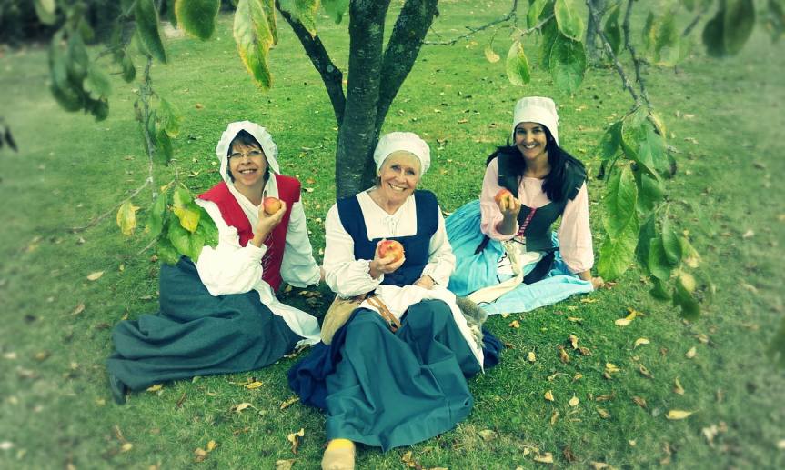 Shake the History Tree